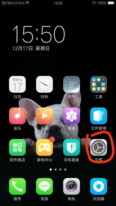 探究OPPO手机软件商店图标不显示的原因及解决方法